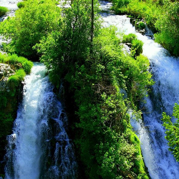 link-17-spring-wallpaper_1920x1080