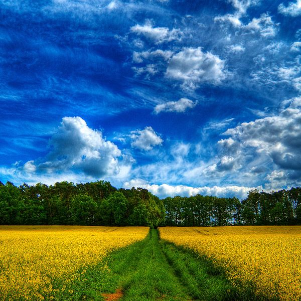 link-19-spring-desktop-backgrounds-nature-416078