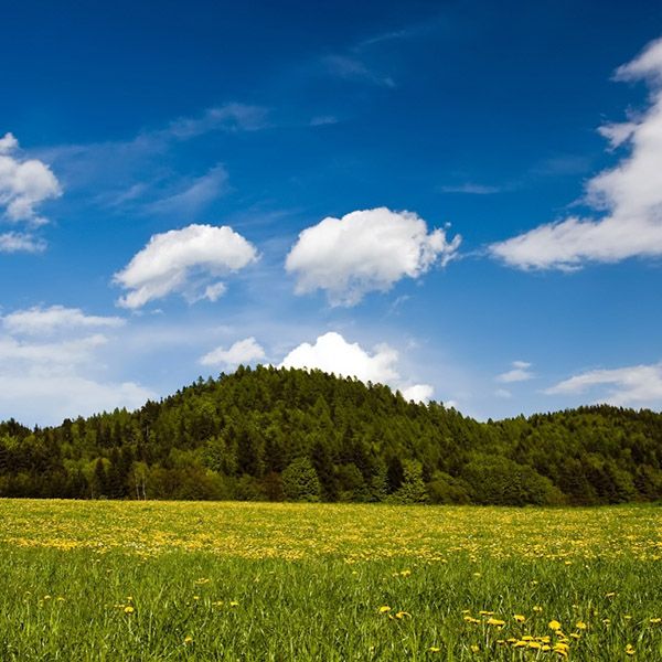 länk-2-vår-natur-1366x768-tapet-552