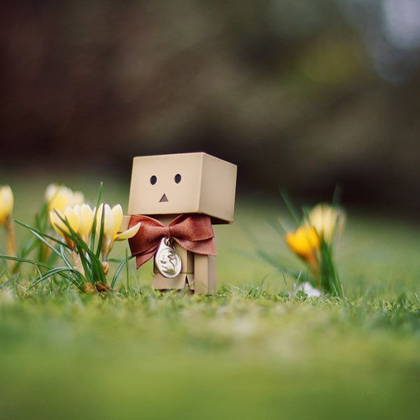 länk-8-Danbo_March_Wallpaper__by_gloeckchen