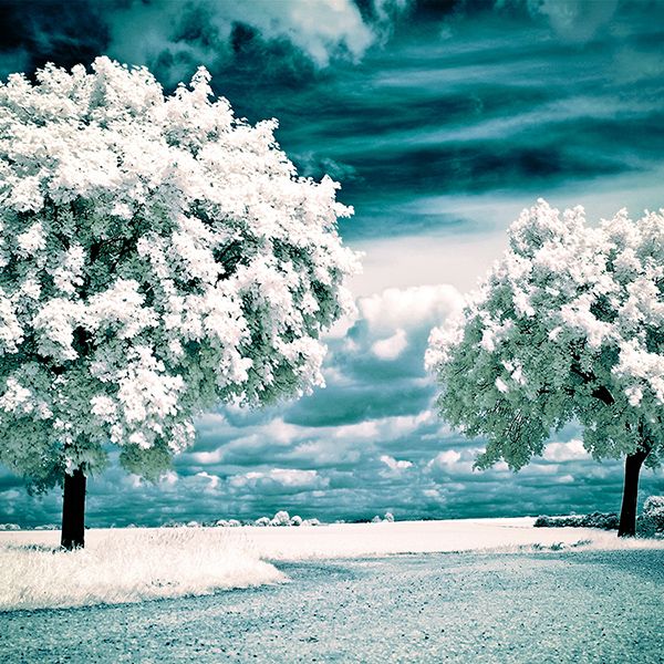 link-9-Spring_2560_Wallpaper_by_myINQI