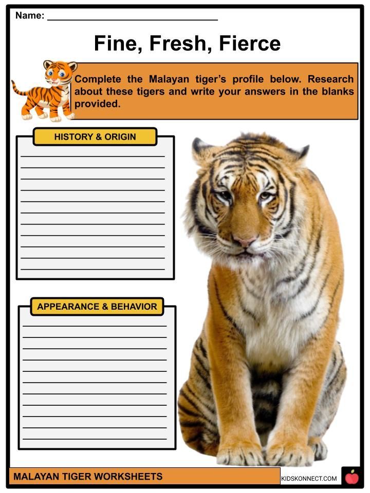 Fakten und Arbeitsblätter zum Malaiischen Tiger
