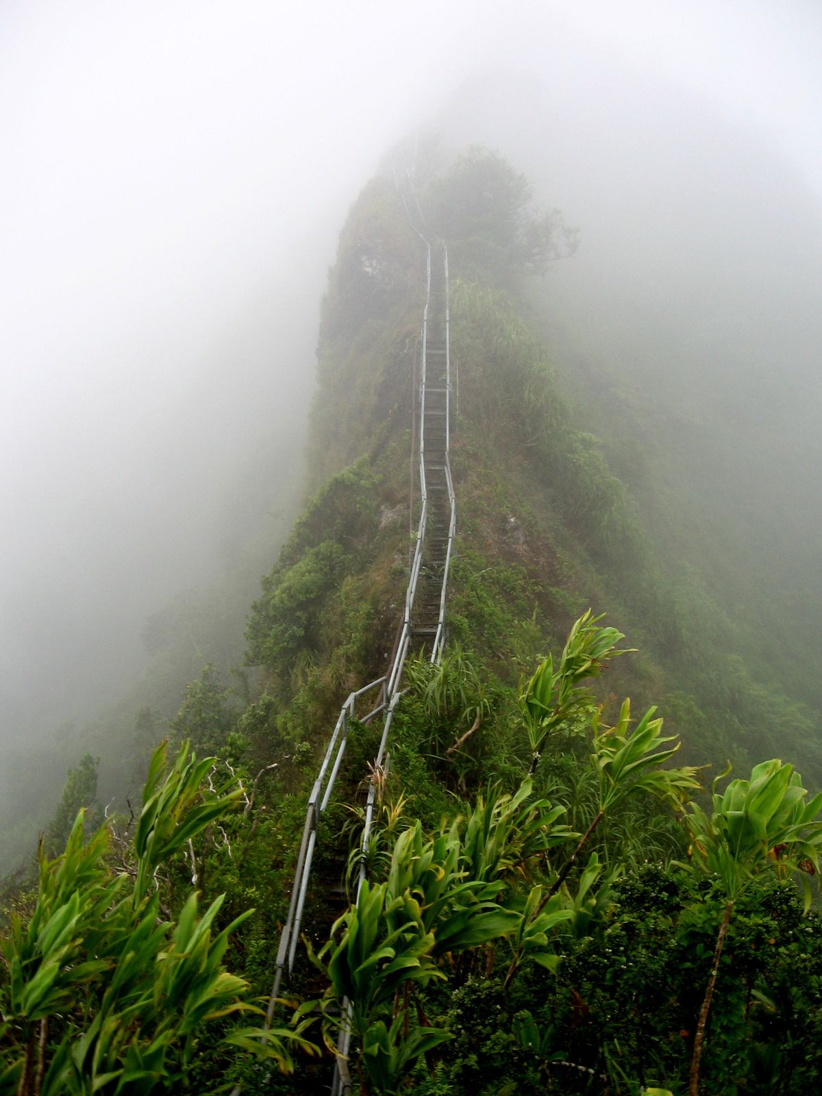 Las escaleras Haiku en Oahu, Hawaii