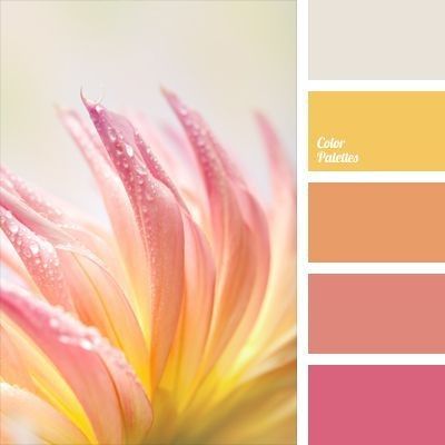 combinaciones de colores
