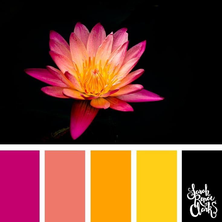 combinaciones de colores