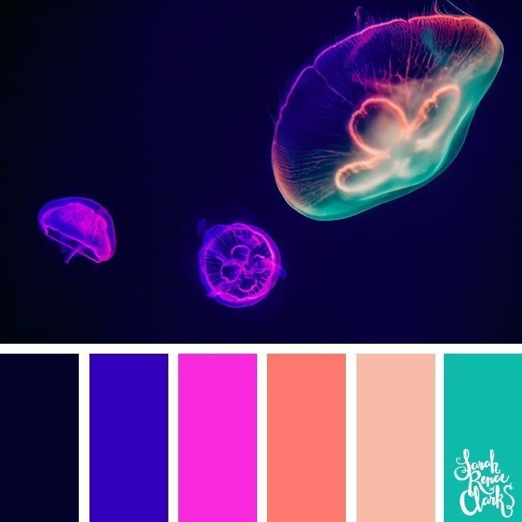 combinaciones de colores