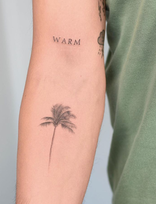 Palmträdtatuering