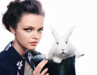 画像には、人間、医師、動物、哺乳類、齧歯類、ウサギ、バニーが含まれている場合があります