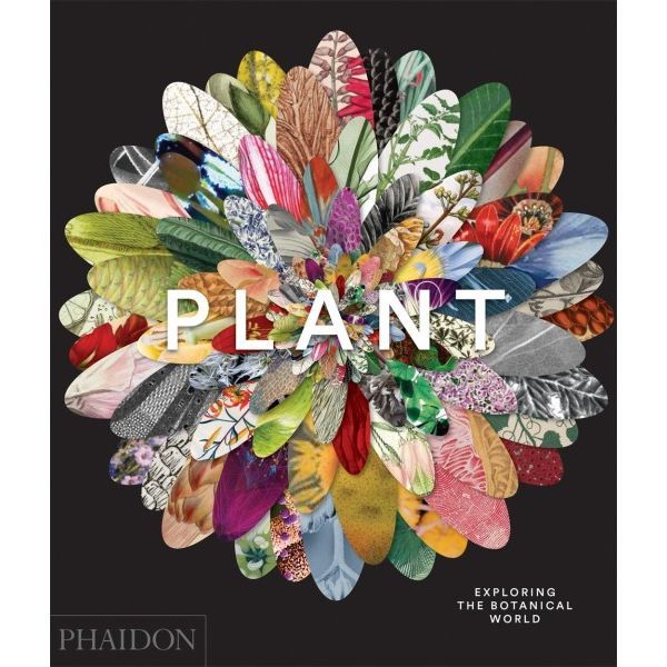 Plant Exploring the Botanical World av Phaidon Editors
