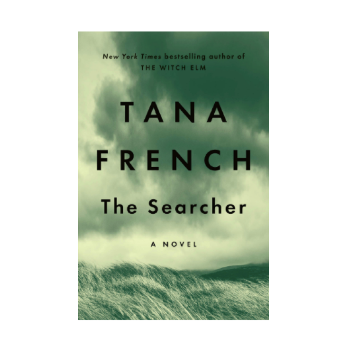 Der Sucherroman von Tana French