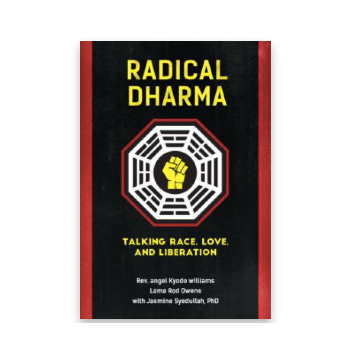 radikaler Dharma-Roman