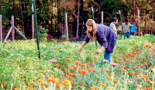 Esta imagen puede contener Jardinero y trabajador de jardinería Persona humana Jardín al aire libre