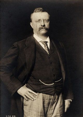 La imagen puede contener Theodore Roosevelt Accesorios Corbata Accesorio Ropa Ropa Persona humana Arte Traje y abrigo