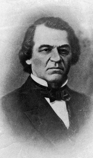 La imagen puede contener Corbata Accesorios Accesorio Rostro Persona humana Andrew Johnson y Art