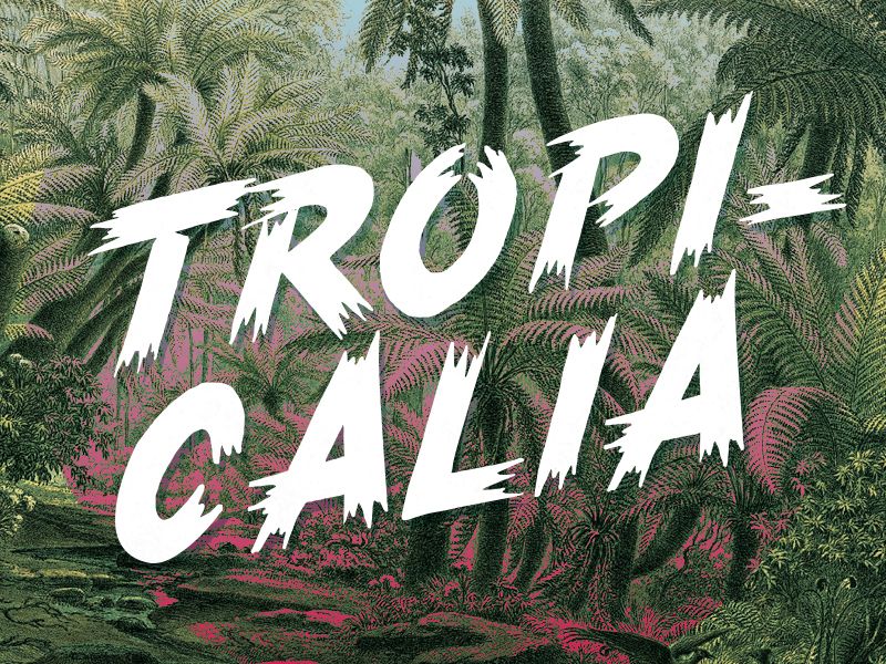 Tropicalia Brush Typeface โดย Rocco Barbaro