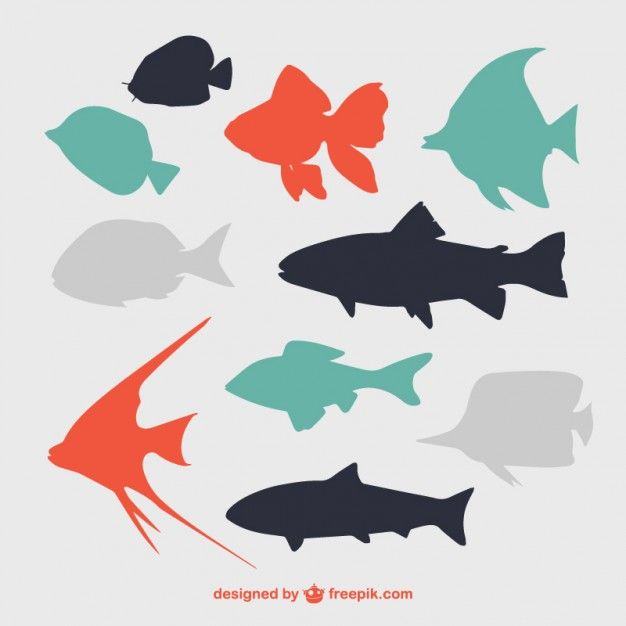 10 siluetas de peces planos