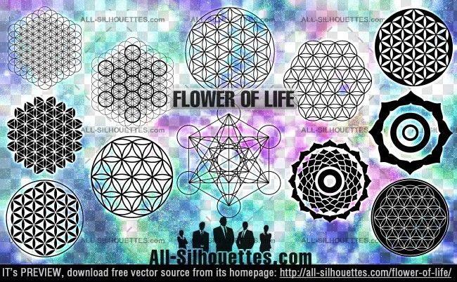 Los vectores de la flor de la vida