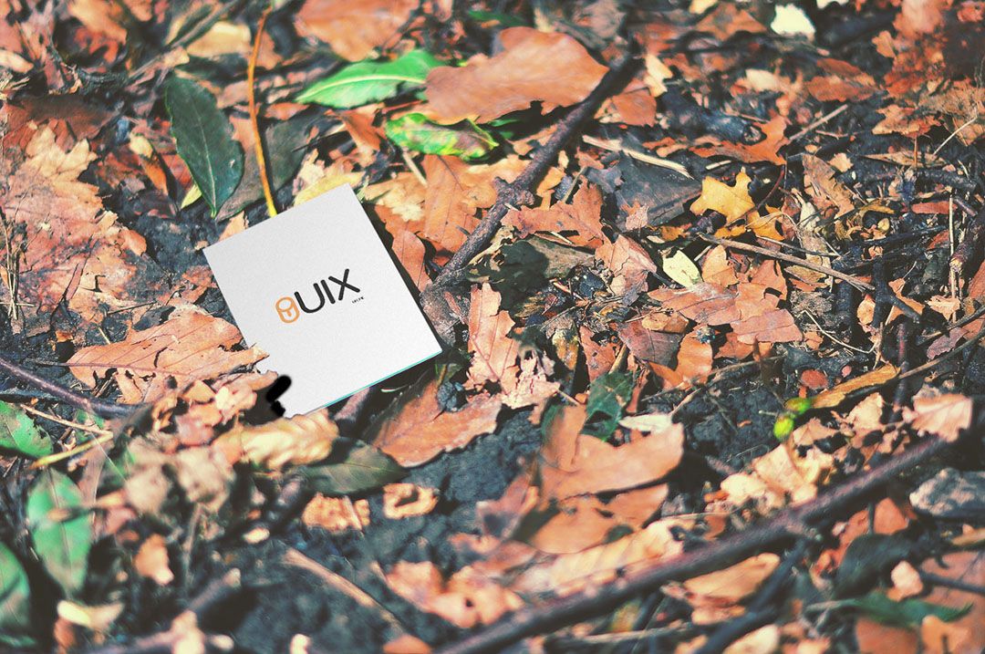 Maqueta de tarjeta de visita en el bosque