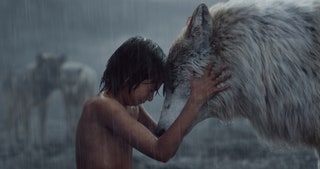 La imagen puede contener humanos y personas