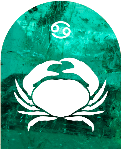 Nuotraukoje gali būti Animal Sea Life Food ir jūros gėrybių