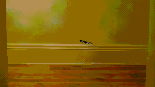 Bild könnte Vogel und Tier enthalten