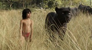 Bild könnte Mensch Tier Säugetier Wildtier Katze und Haustier enthalten