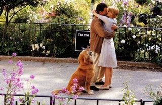 Meg Ryan y Tom Hanks en ti