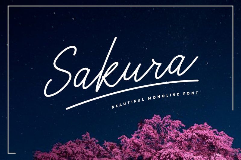 Sakura Font Set - Script Like Save Sakura Font Set - Script - 1 Sakura Font Set - Script - 2 Sakura Font Set - Script - 3 Sakura Font Set - Script - 4 Sakura Font Set - Script - 5 Sakura Font Set - Script - 6 Sakura es un conjunto de fuentes de estilo de firma limpio y elegante, perfecto para crear texto auténtico escrito a mano de forma rápida y sencilla. Con trazos exagerados y una línea de base extra elástica, Sakura tiene un encanto inconfundible; perfecto para logotipos, encabezados, marca de empresa o personal, empaque de productos, tarjetas y citas escritas a mano.