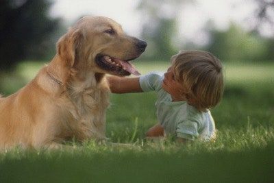 La imagen puede contener Animal Golden Retriever Canine Mammal Pet Dog Human and Person