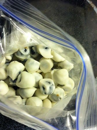 La imagen puede contener Tortellini y pasta de alimentos vegetales