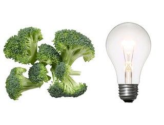 La imagen puede contener plantas y luz