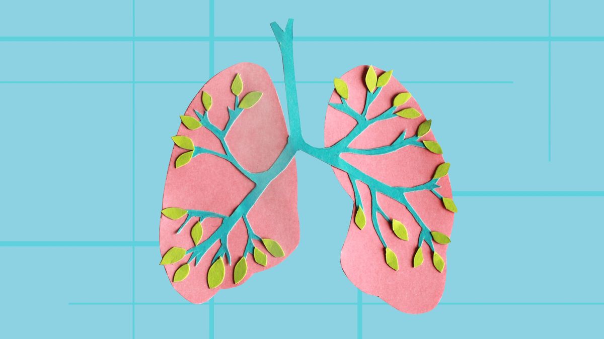 Pulmones como ramas de árboles.