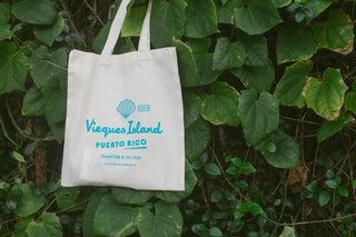 Slika lahko vsebuje Tote Tote Bag in rastlino