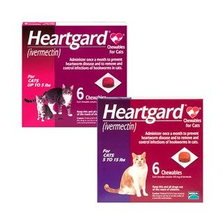 Heartgard masticables para gatos