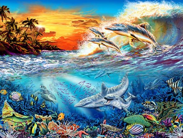 Encuentra 19 delfines escondidos