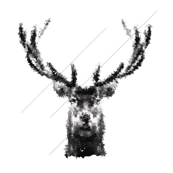 Poly Deer podjetja SpacePixel