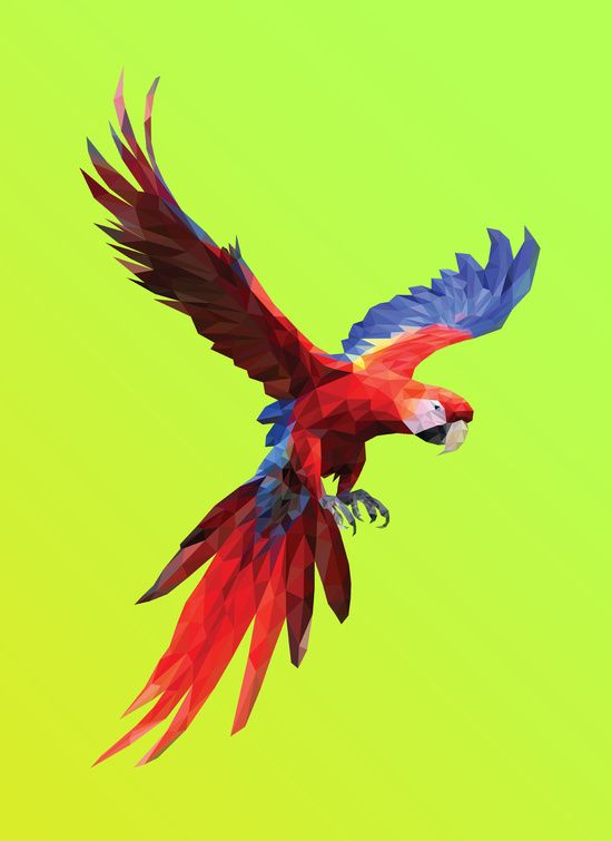 Poly Macaw Breno Bitencourt