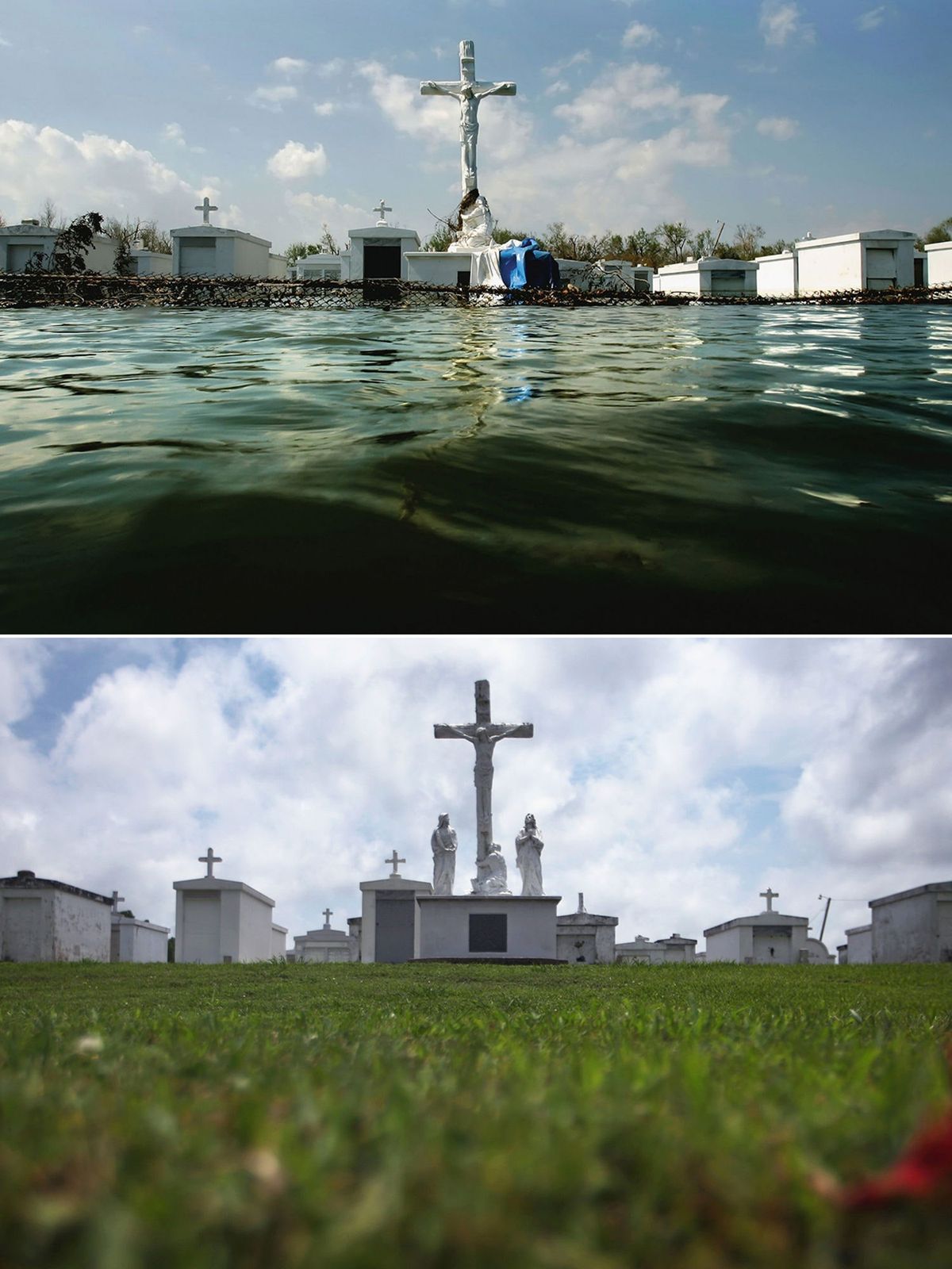La imagen puede contener el símbolo de una cruz Hierba Planta Agua y frente al mar
