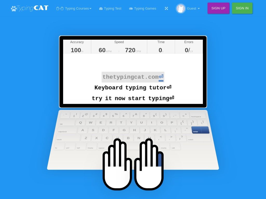 El gato que escribe