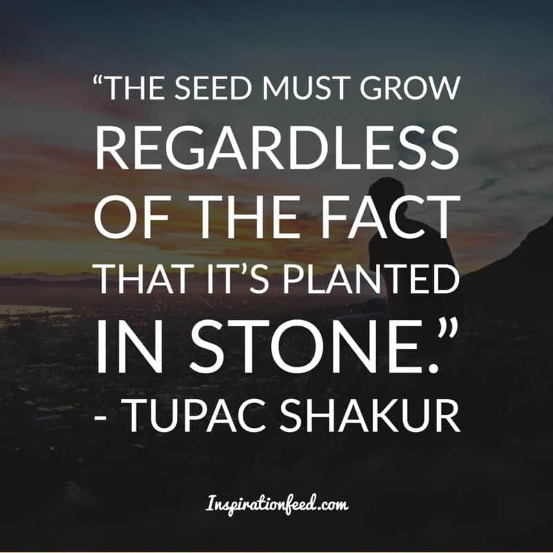 Tupac Shakur zitiert