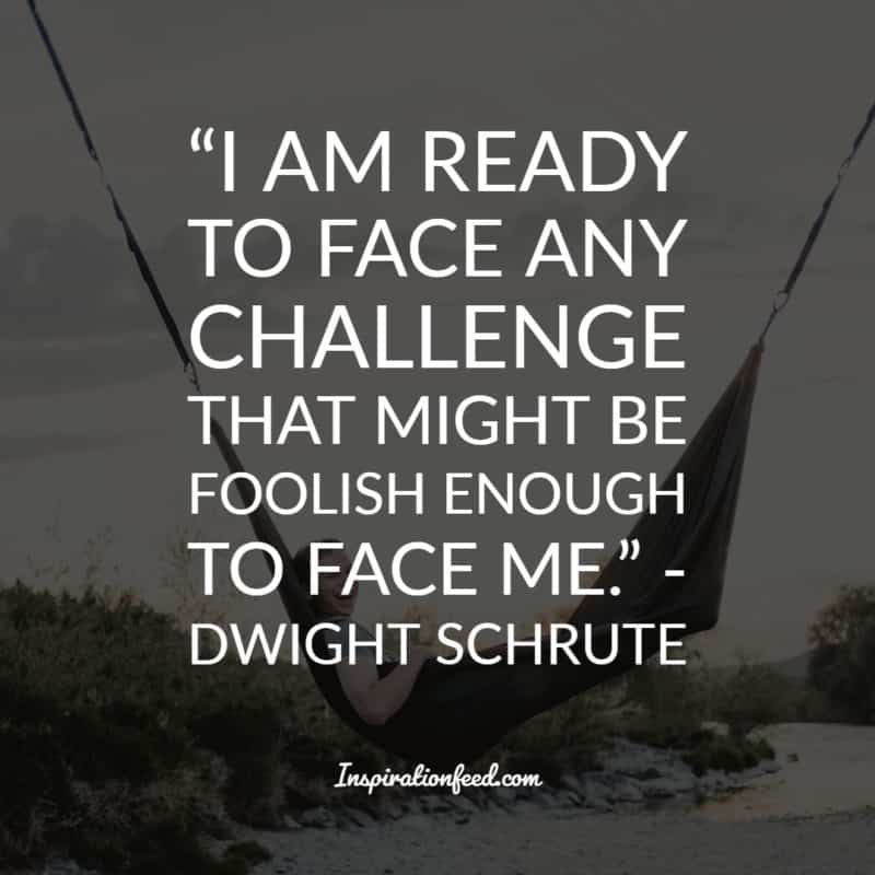 Dwight Schrute Citati