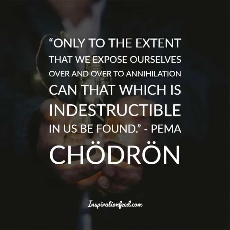 Frases De Pema Chodron