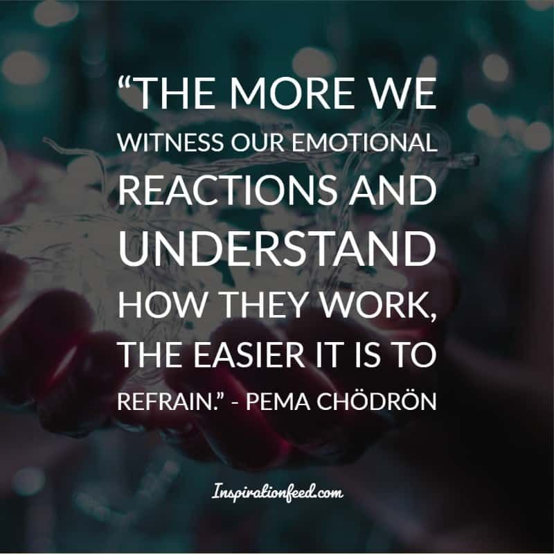 Frases De Pema Chodron