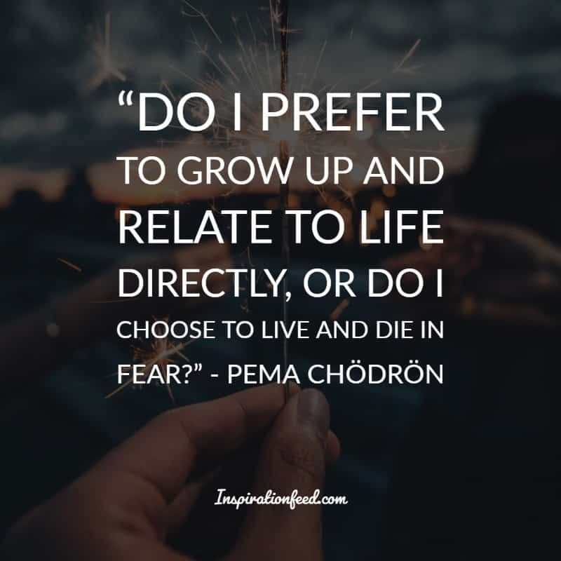 Frases De Pema Chodron