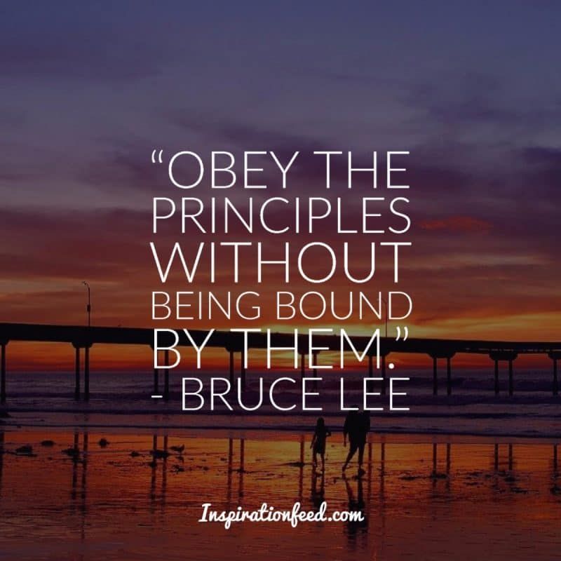 Citas De Bruce Lee