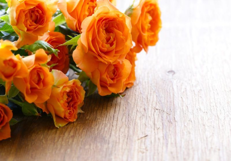 Blommacitat