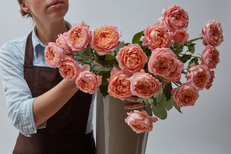 Blommacitat