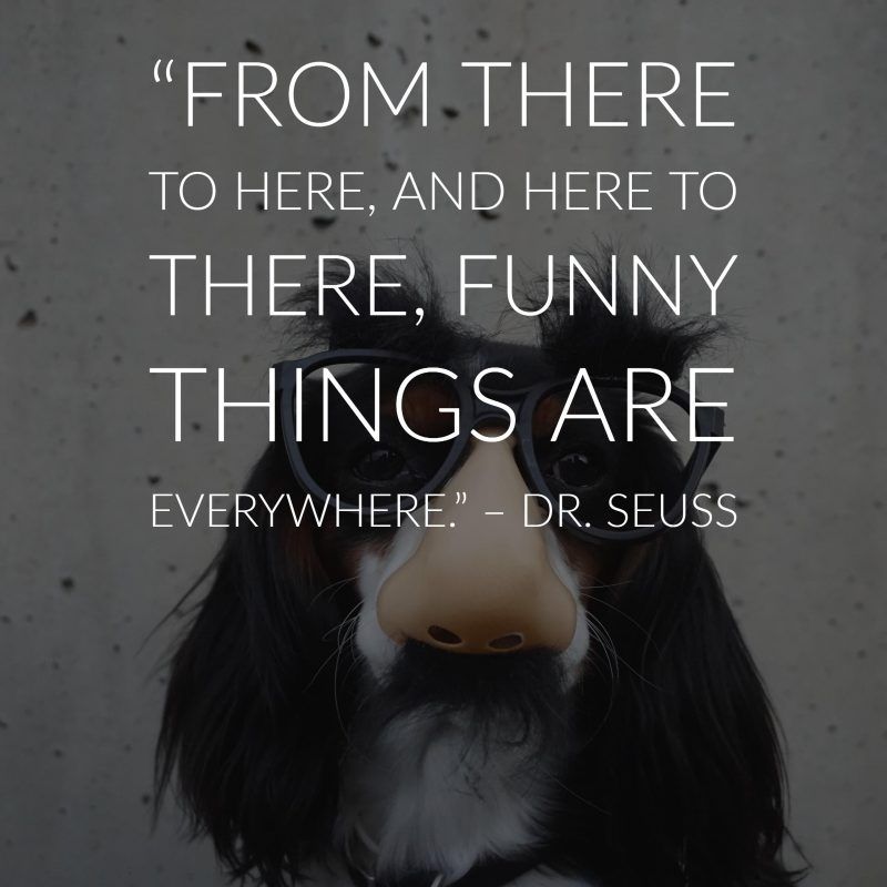 citas del Dr. seuss
