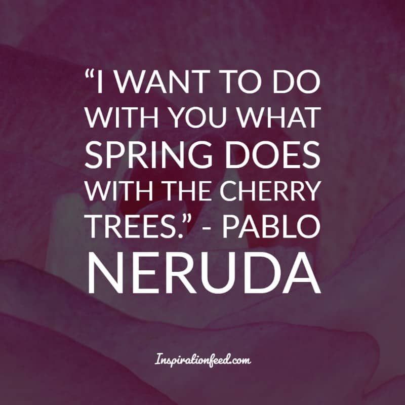 Frases De Pablo Neruda