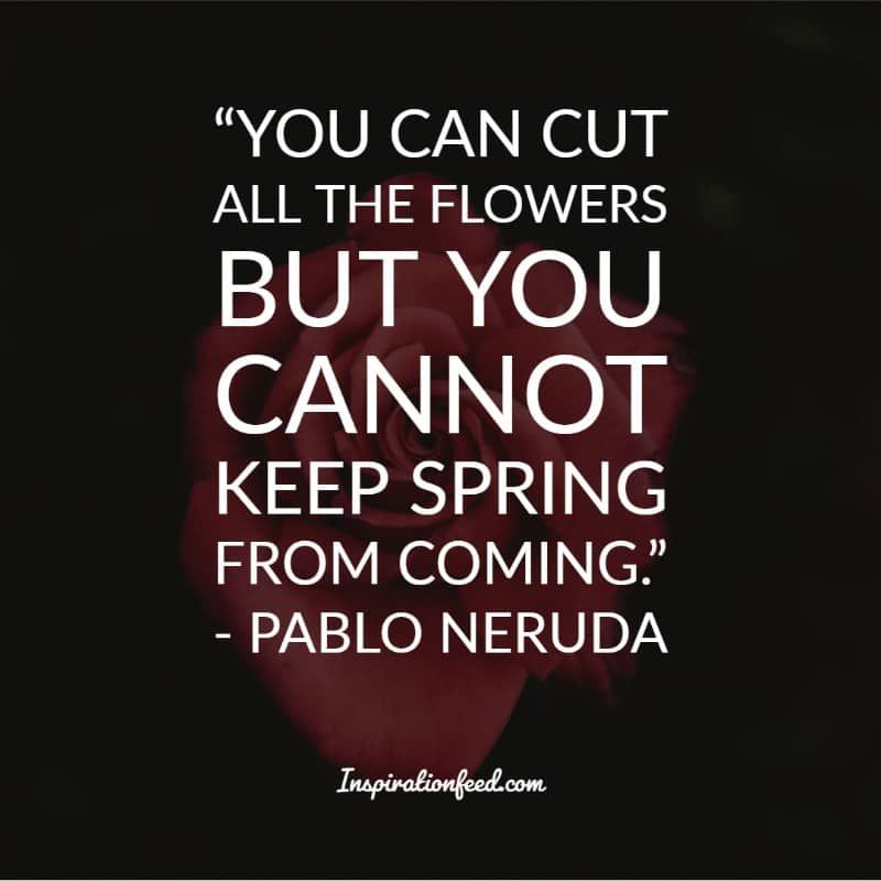 Frases De Pablo Neruda
